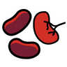 NC-Scorer Logo